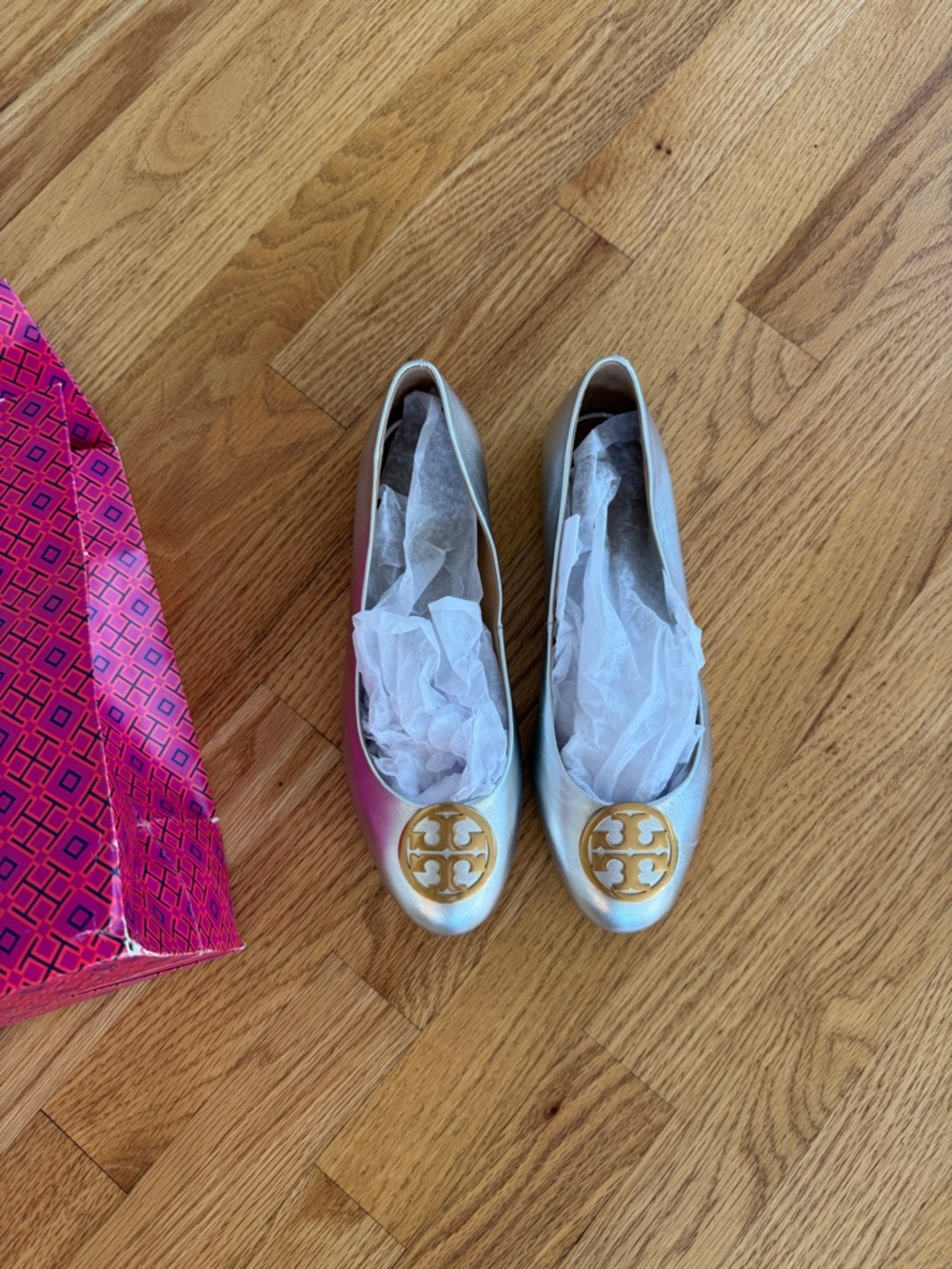 Tory Burch Silver Ballet Flats Benton